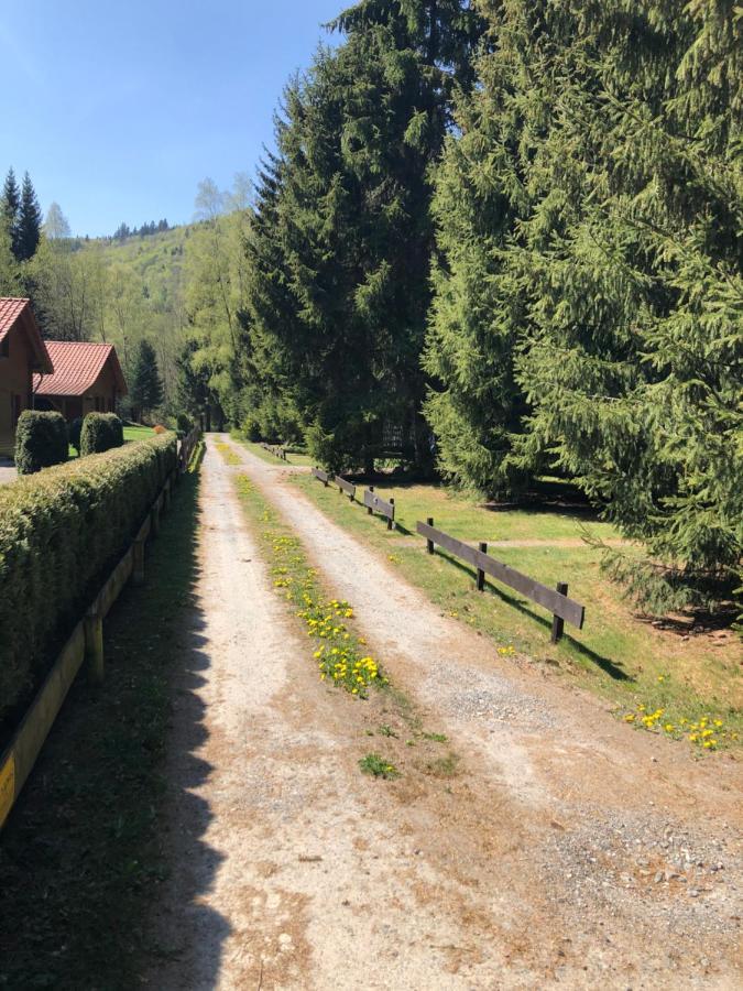 Ferienhaeuser Am Waldschloesschen Lautenthal Esterno foto