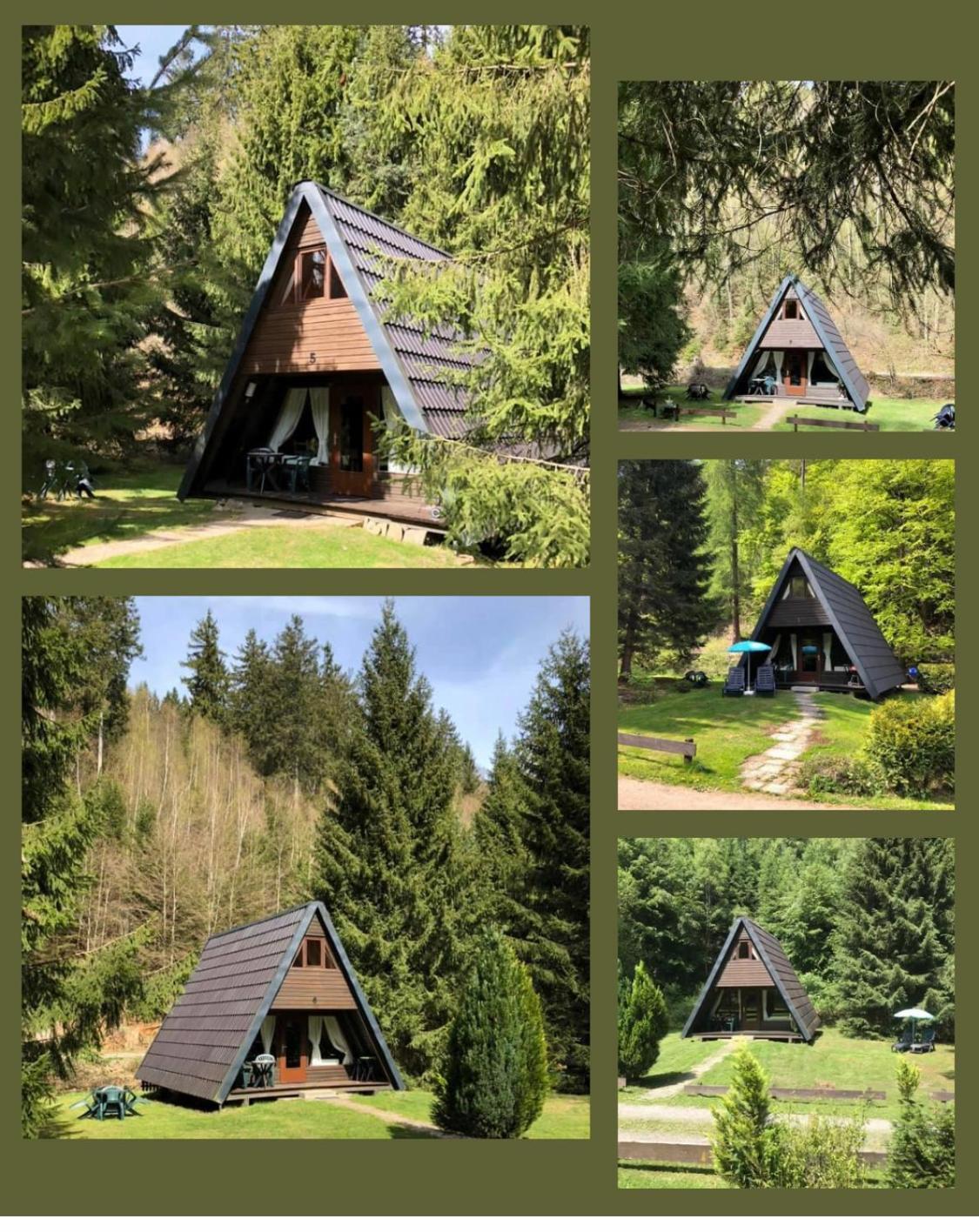 Ferienhaeuser Am Waldschloesschen Lautenthal Esterno foto
