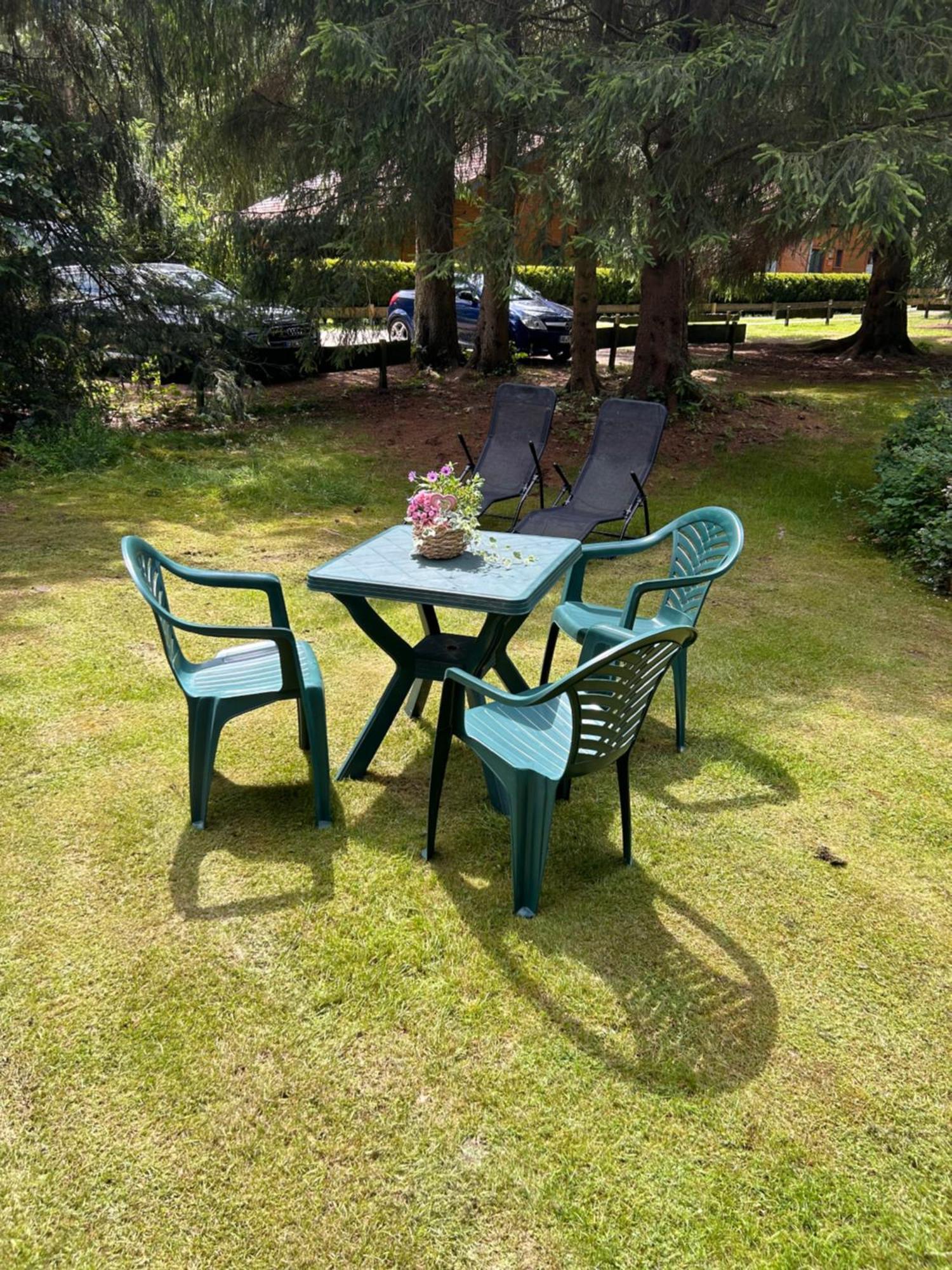 Ferienhaeuser Am Waldschloesschen Lautenthal Esterno foto