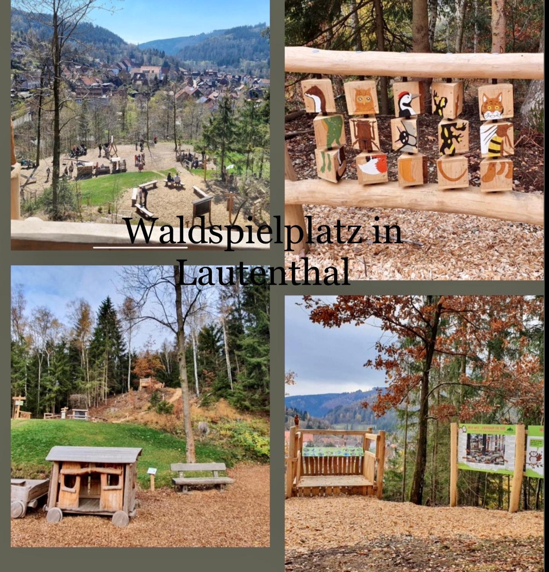 Ferienhaeuser Am Waldschloesschen Lautenthal Esterno foto