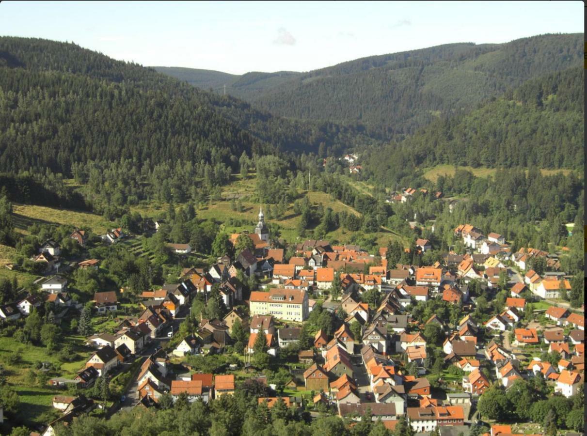 Ferienhaeuser Am Waldschloesschen Lautenthal Esterno foto