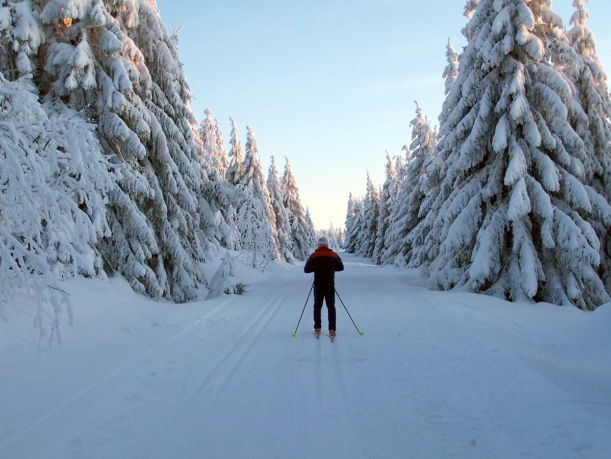 Ferienhaeuser Am Waldschloesschen Lautenthal Esterno foto
