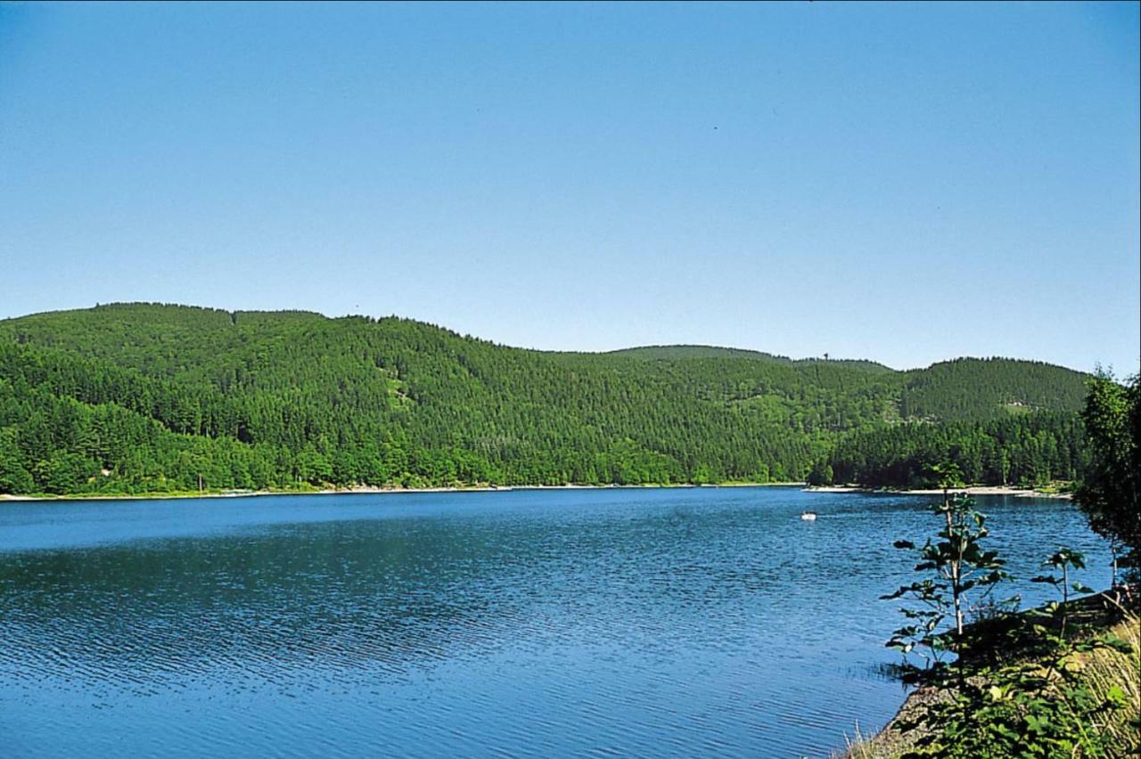 Ferienhaeuser Am Waldschloesschen Lautenthal Esterno foto