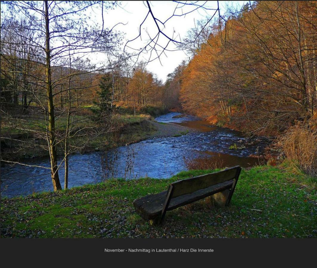 Ferienhaeuser Am Waldschloesschen Lautenthal Esterno foto