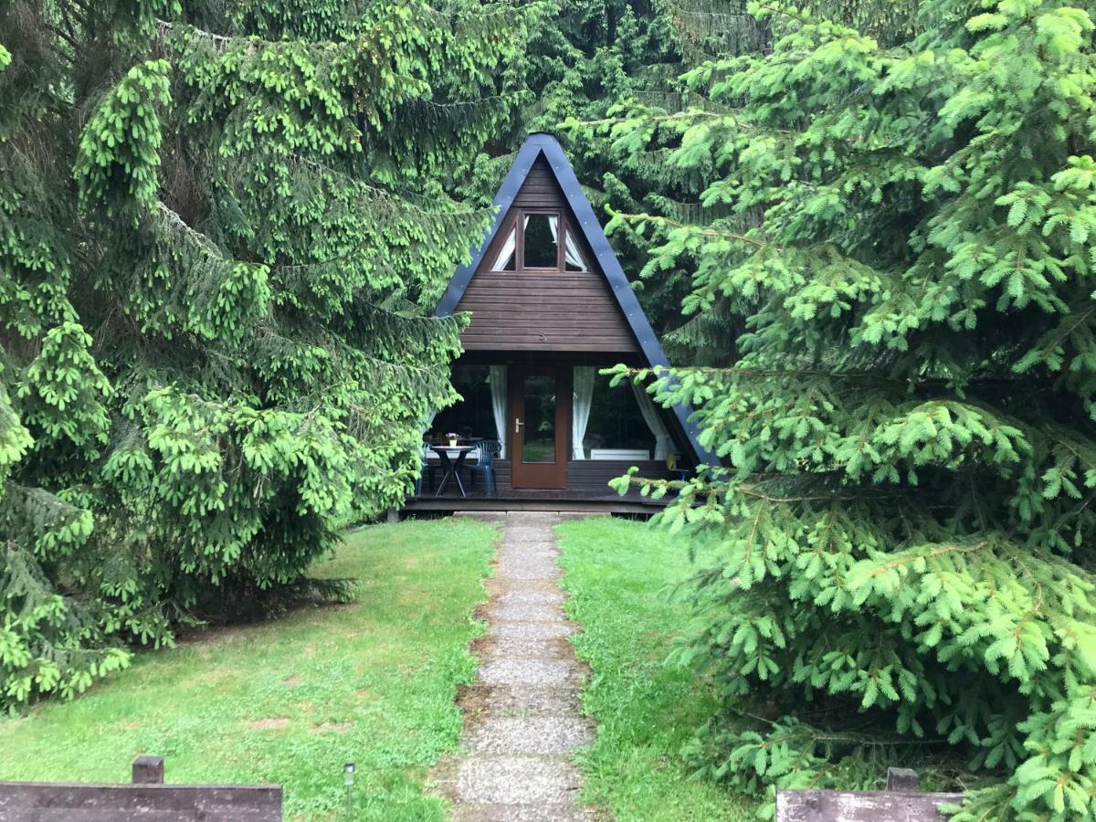 Ferienhaeuser Am Waldschloesschen Lautenthal Esterno foto