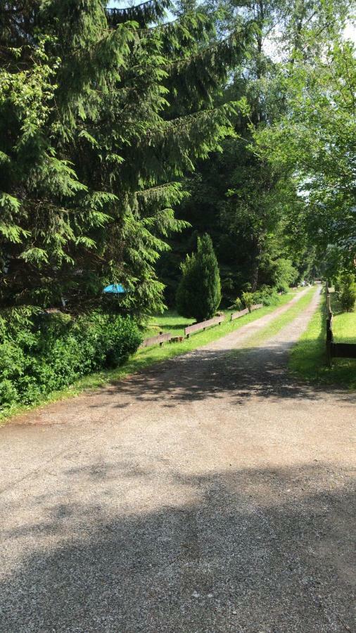 Ferienhaeuser Am Waldschloesschen Lautenthal Esterno foto